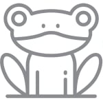 The Digital Frogs Marketing